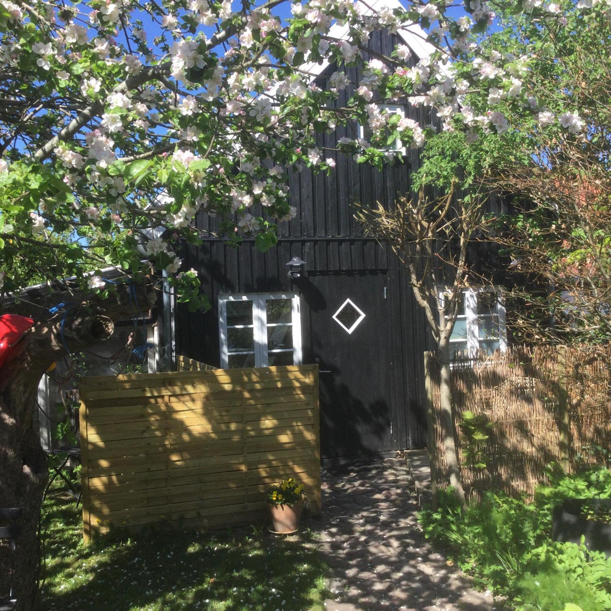 4 Louisenlund Villa Skanderborg Exterior photo